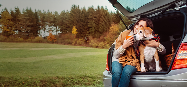 Frau sitzt mit ihrem Beagle im geöffneten Kofferraum eines Autos – Symbolbild für eine Tierhalterhaftpflichtversicherung